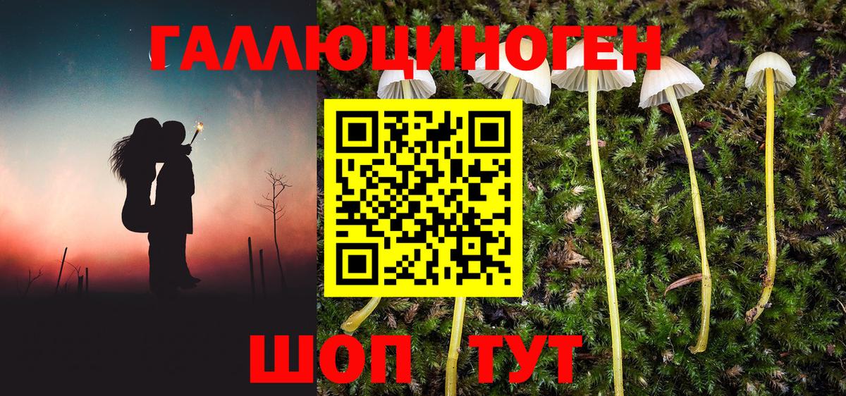 Псилоцибиновые грибы ЛСД  купить наркоту  Анжеро-Судженск  Галлюциногенные грибы мухоморы  Вход с VPN 